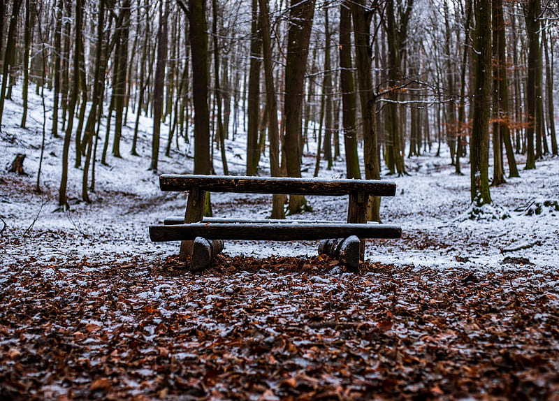brown wooden bench on snow covered ground, HD wallpaper