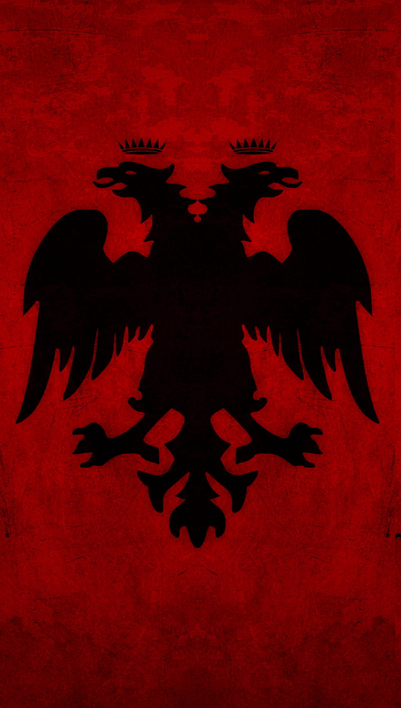 Albanian, albania, albanian flag, flag, flags, shqip, HD phone wallpaper