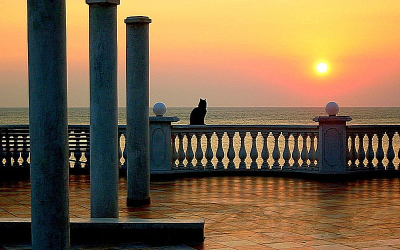 Terrace with Cat at Sunset, parapets, columns, sunset, cat, terrace, sea, HD wallpaper