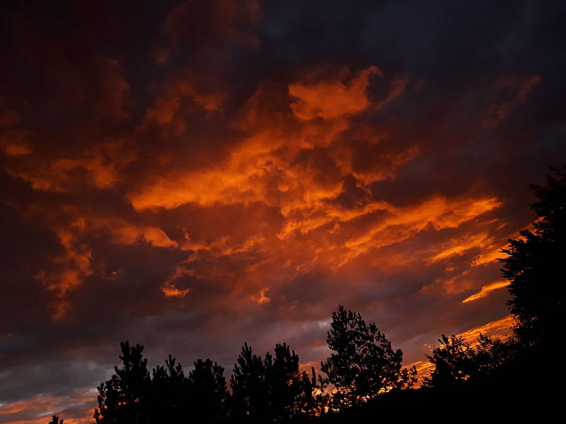 Sky in fire, clouds, dark, forrest, nature, orange, sunset, woods, HD wallpaper