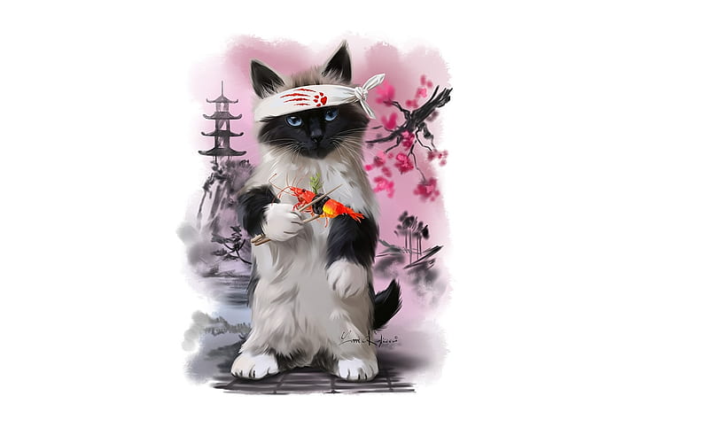 Sushi cat, cute, art, fantasy, lorri kajenna, luminos, pisica, HD wallpaper
