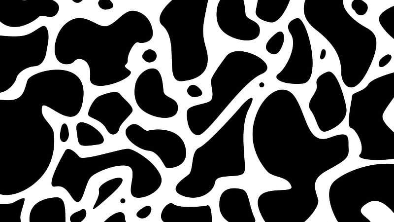 cow iPhone Wallpapers Free Download
