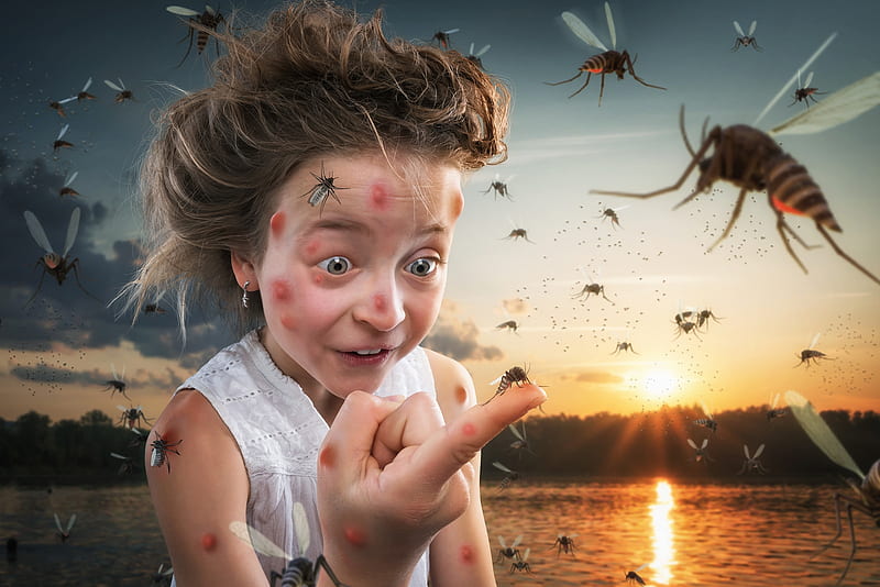 Just an animal lover, john wilhelm, creative, situation, fantasy, girl, summer, hand, insect, copil, child, funny, mosquito, HD wallpaper