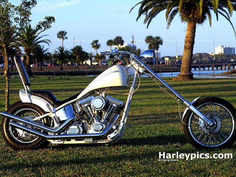 Pale Sled, motor bike, harley davidson, bike, sled, motorcycle, chopper, HD wallpaper