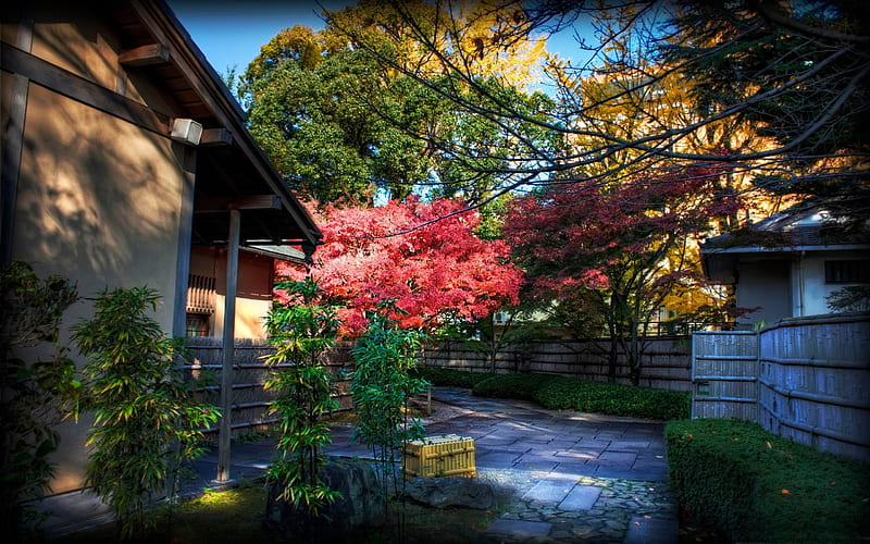 momiji behind tea house-Japanese Landscape, HD wallpaper