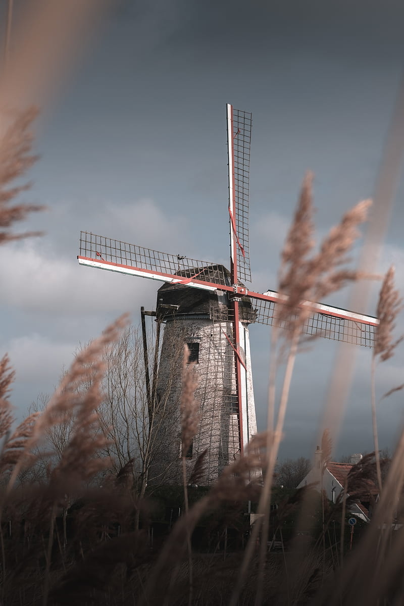 mill, wind, grass, sky, HD phone wallpaper