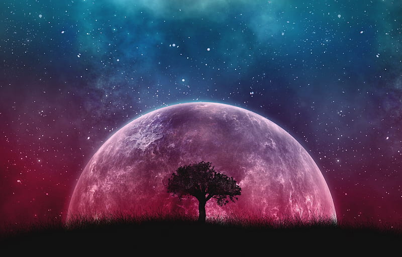 Fantasy, Tree, Planet, Stars sky for, section фантастика, Fantasy