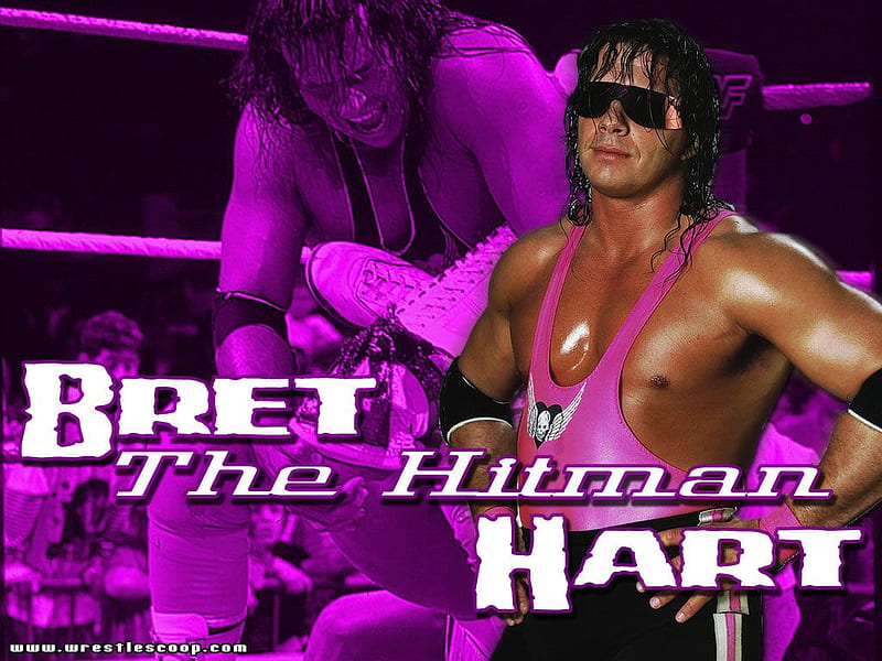 Bret The Hitman Hart ( Hes Back In The WWE ), the hit man, wrestling, the best, wwf bret hart, wrestler, wwe, HD wallpaper