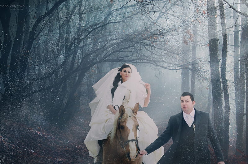 *** Bride on horseback ***, male, female, model, people, horse, HD wallpaper