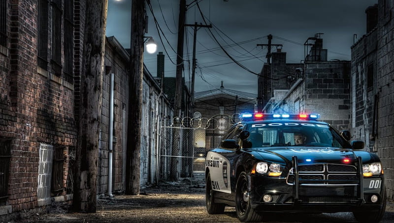 Dodge Charger Police Pursuit, police pursuit, charger, police, police car, dodge charger, HD wallpaper