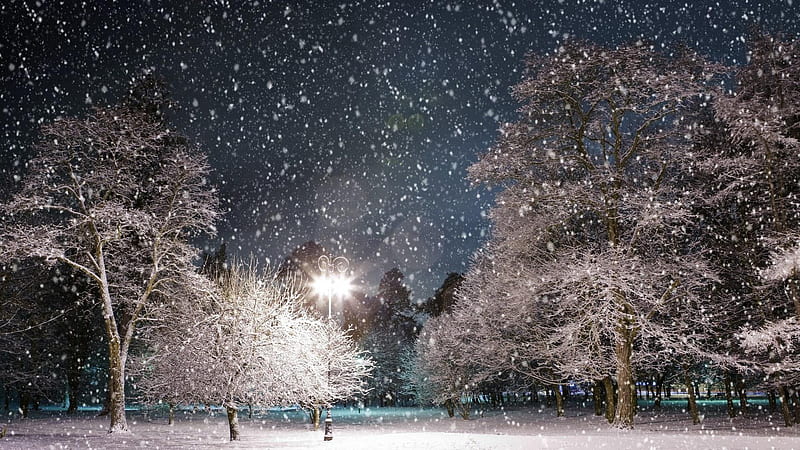 snowfall, snowflakes, lamppost, trees, bluesky, winter, HD wallpaper