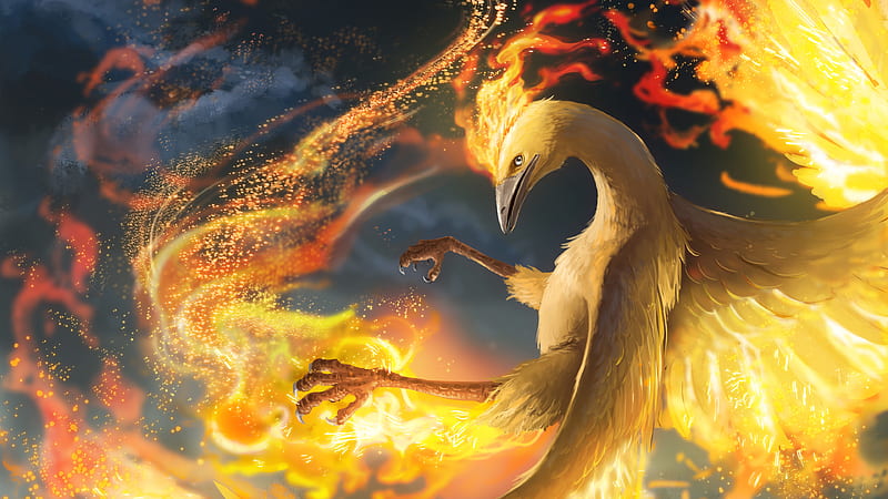 Anime Fire Moltres Pokemon Dragon, HD wallpaper | Peakpx
