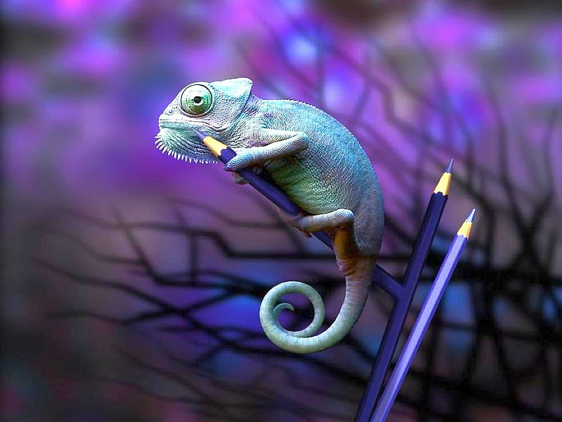 Premium Photo | Lizard idea fauna reptile