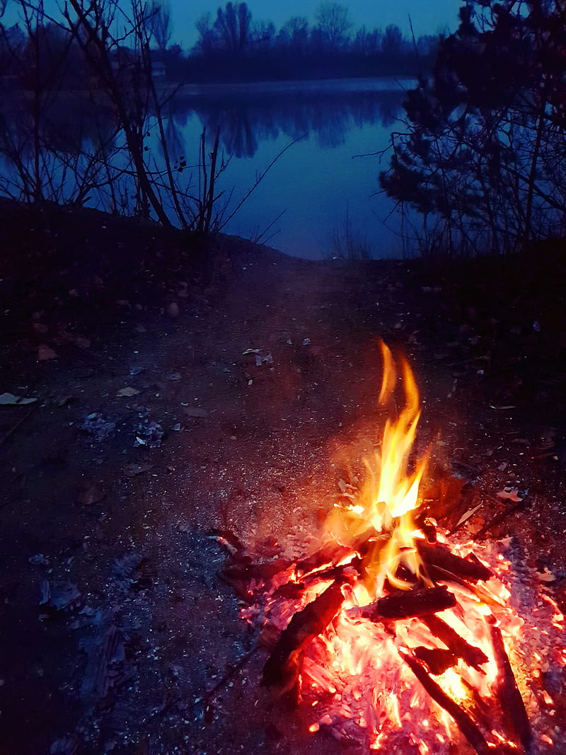 Forest Fire On Lake, camping, nature, night, romantic, romantik, trees, wood, HD phone wallpaper