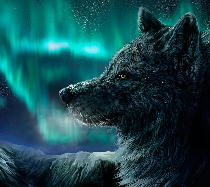 Night Wolf, animal, aurora, northern lights, star, wolf, wolves, HD wallpaper