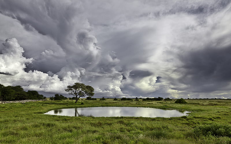 The Water Hole, hole, bonito, clouds, storm, africa, rainy, water, nature, fields, season, HD wallpaper