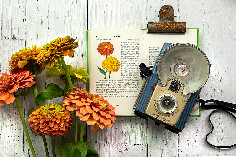 book, flowers, camera, aesthetics, vintage, HD wallpaper