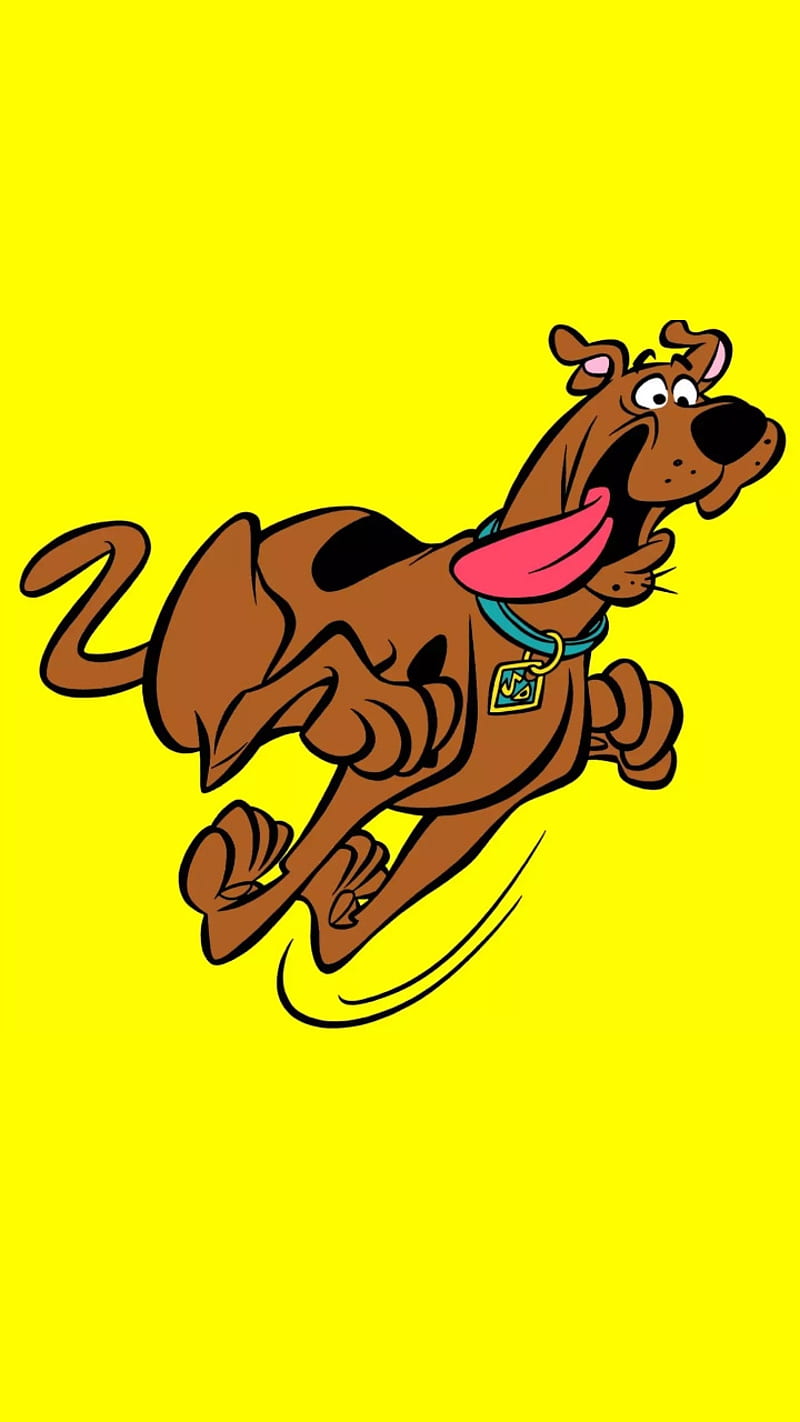 Scooby Doo, cartoon, HD phone wallpaper | Peakpx