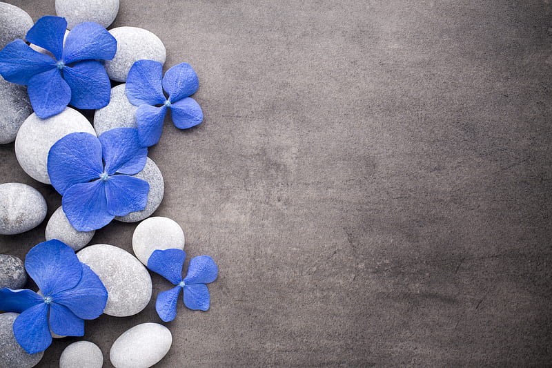 Blue and white, stone, rock, flower, gris, white, blue, card, HD wallpaper