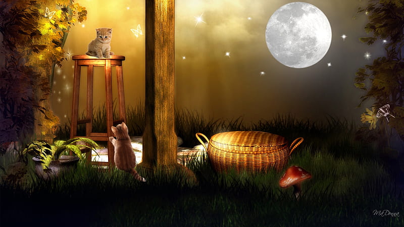 Moonlight Picnic, stars, grass, kitty, firefox persona, butterflies, trees, cat, sky, picnic basket, full moon, dragonflies, mushrooms, kitten, light, HD wallpaper