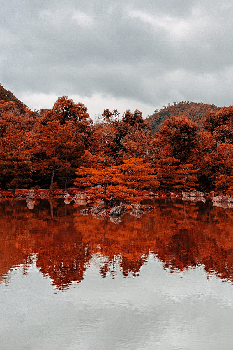 lake, trees, reflection, autumn, nature, HD phone wallpaper