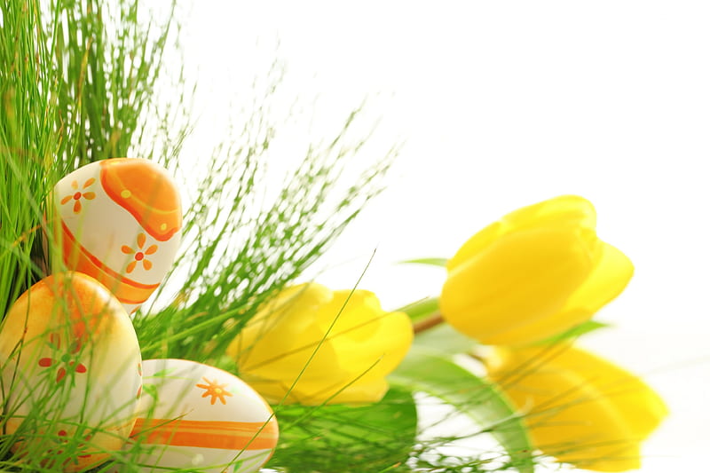 Easter Time, Easter, holidays, grass, fresh, eggs, flowers, yellow, tulips, HD wallpaper