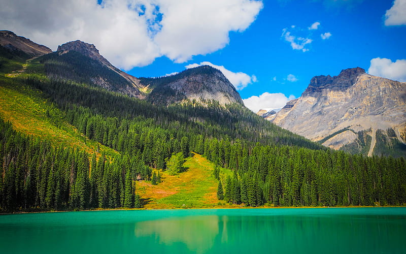 Emerald Lake mountains, forest, Yoho National Park, Canada, HD wallpaper
