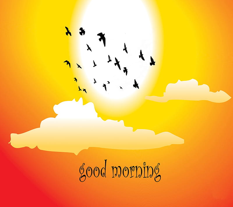 Good Morning, background, birds, cool, good, lovely, nice, sayings,  sunrise, HD wallpaper | Peakpx