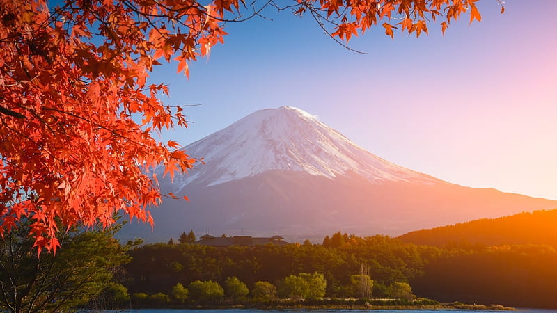Autumn in Japan, red, mountain, japan, autumn, japanese, nature, scenery, fuji, fall, HD wallpaper