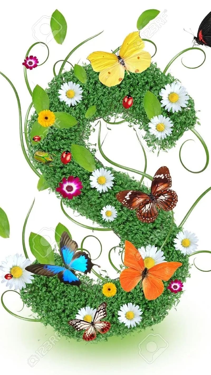 Beautiful S Alphabet, Butterfly On Plants, alphabet design, HD phone wallpaper