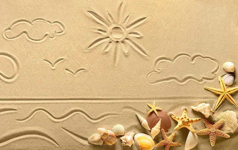 Artistic, Summer, Sand, Shell, Starfish, HD wallpaper