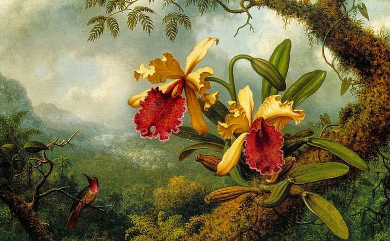 Orchid, tree, Exotic, hummingbirds, painting, artwork, landscape, HD wallpaper
