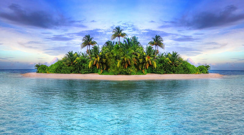 superb tropical island r, beach, r, island, sky, sea, palms, HD wallpaper