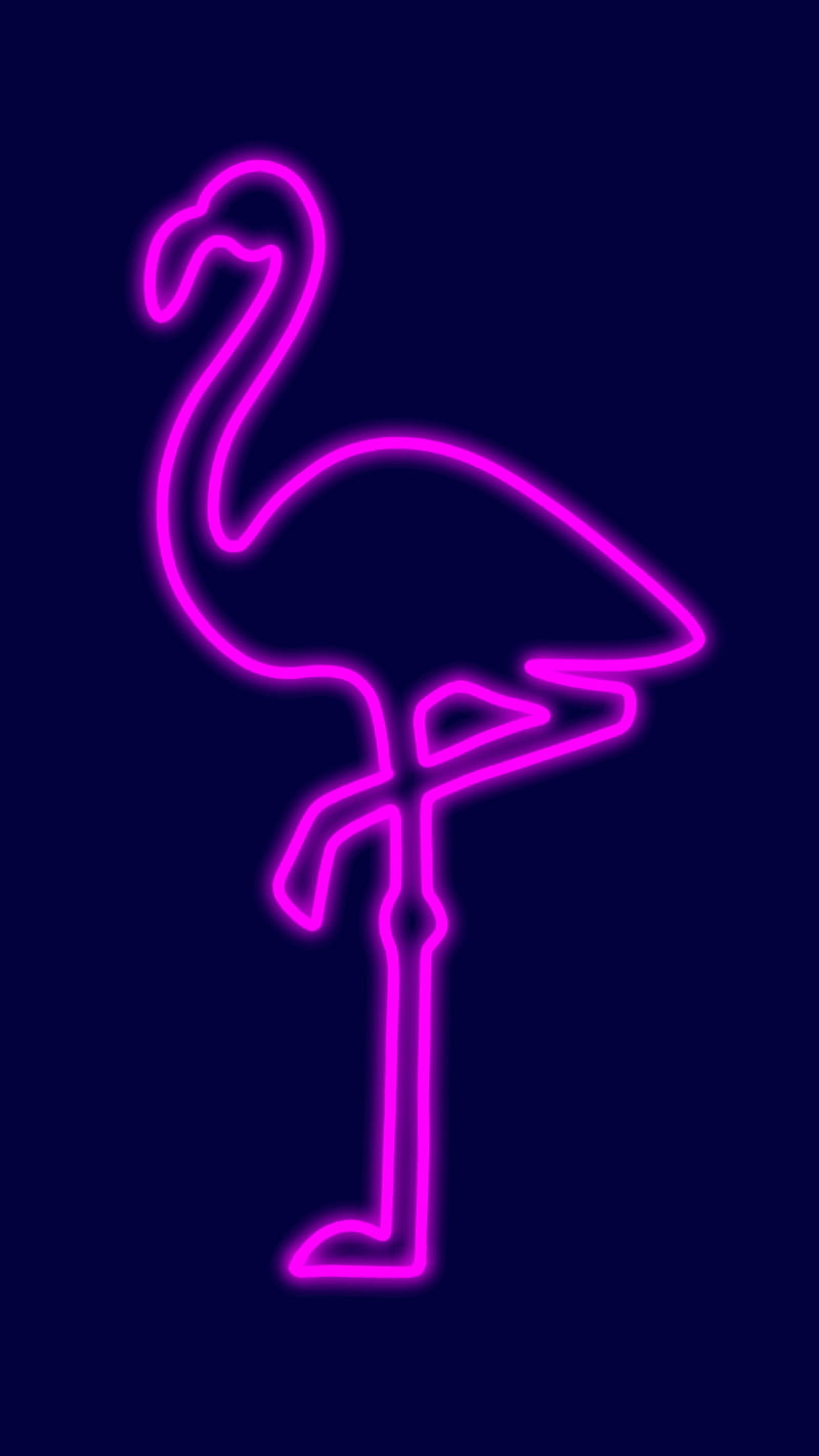 neon flamingo, bird cool, pink, HD phone wallpaper
