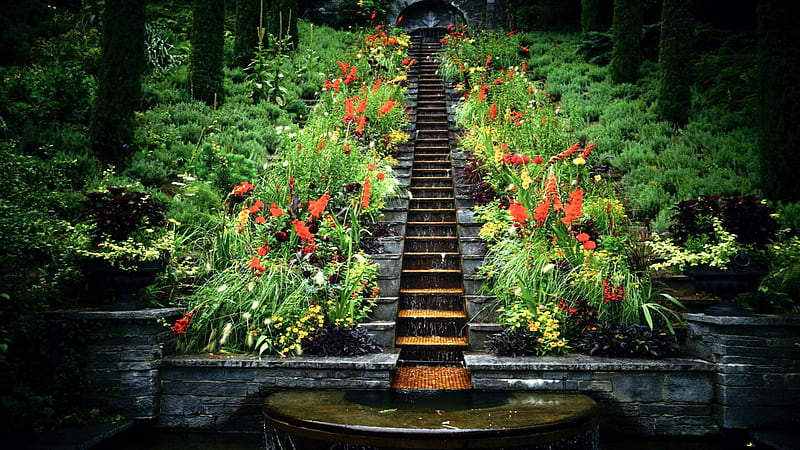Flowers at Mainau Island, Lake Bodensee, blossoms, stairs, water, germany, colors, HD wallpaper