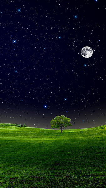 hd wallpapers nature night