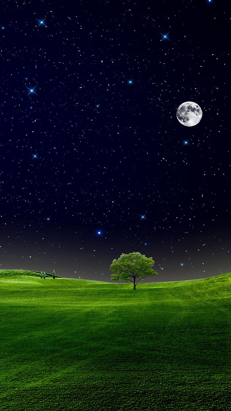 Meadow Night, nature, sky, HD phone wallpaper