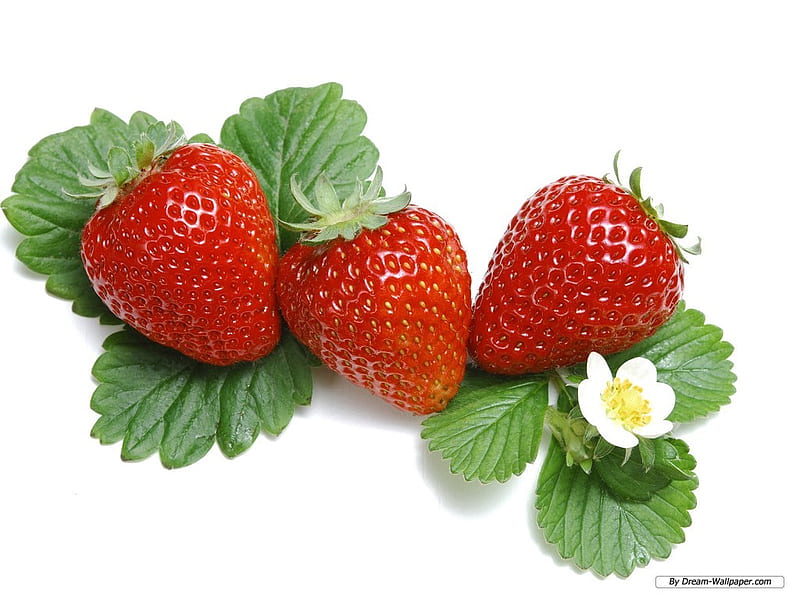 STRAWBERRY'S, fruit, red, juicy, strawberrys, sweet, HD wallpaper