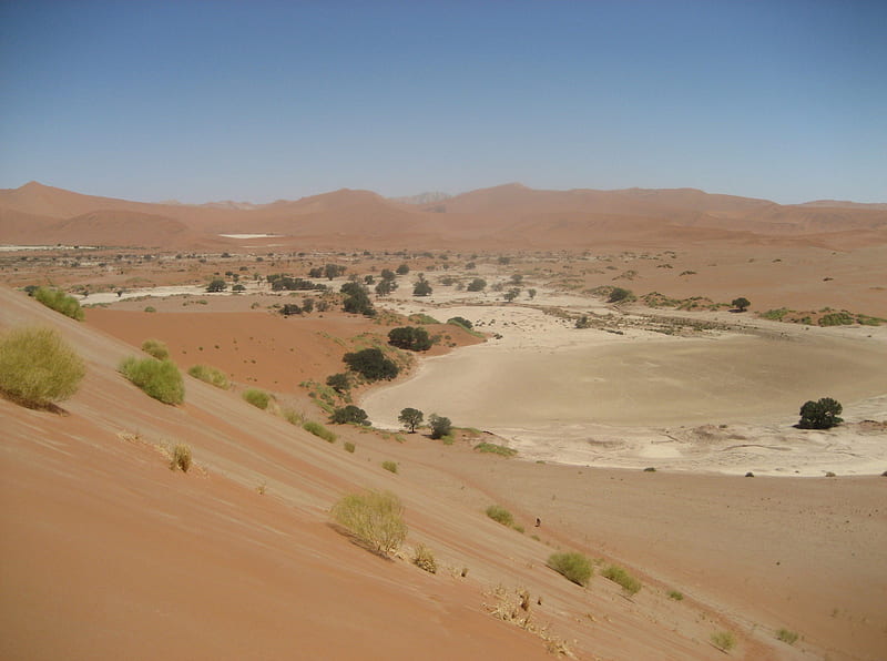 Desert Sand Dunes of Africa, sand, dunes, deserts, nature, shrubs, africa, HD wallpaper