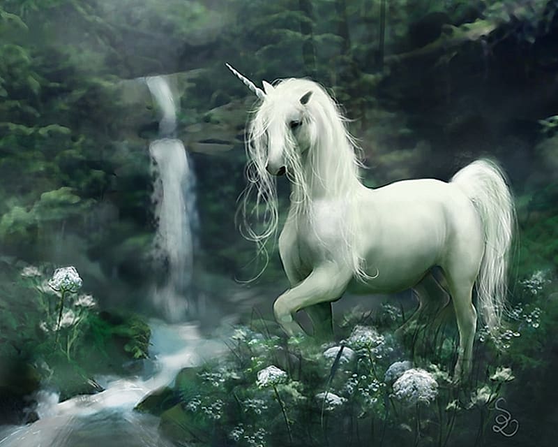 Fantasy Unicorn Hd Wallpaper Peakpx