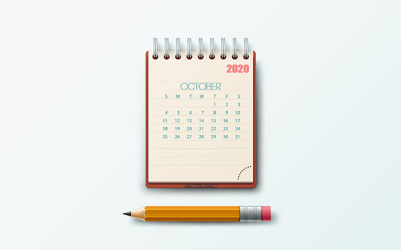 October 2020 Calendar, notepad, gray background, 2020 autumn calendars, October, creative art, 2020 October calendar, 2020 calendars, HD wallpaper