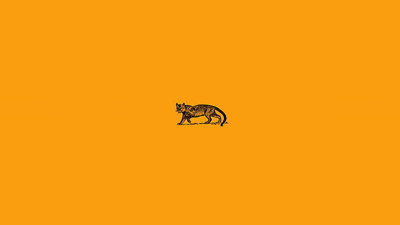 Wild Cat Minimal , cat, minimalism, minimalist, artist, artwork, digital-art, behance, HD wallpaper