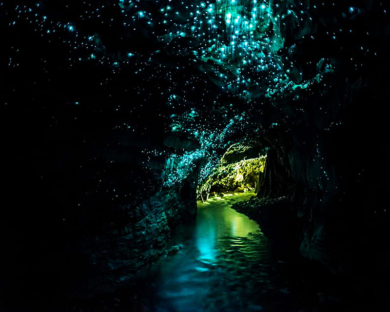 Glowworm Cave, new zealand, waitomo, HD wallpaper | Peakpx