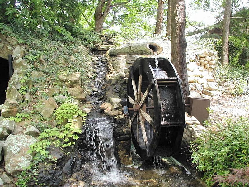 the old waterwheel, old wheel, trickling water, HD wallpaper