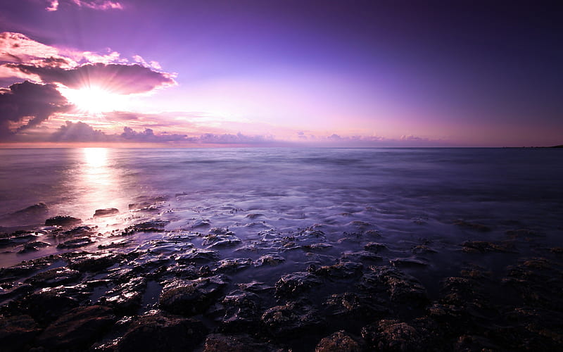 Purple Seascape, seascape, nature, sea, HD wallpaper