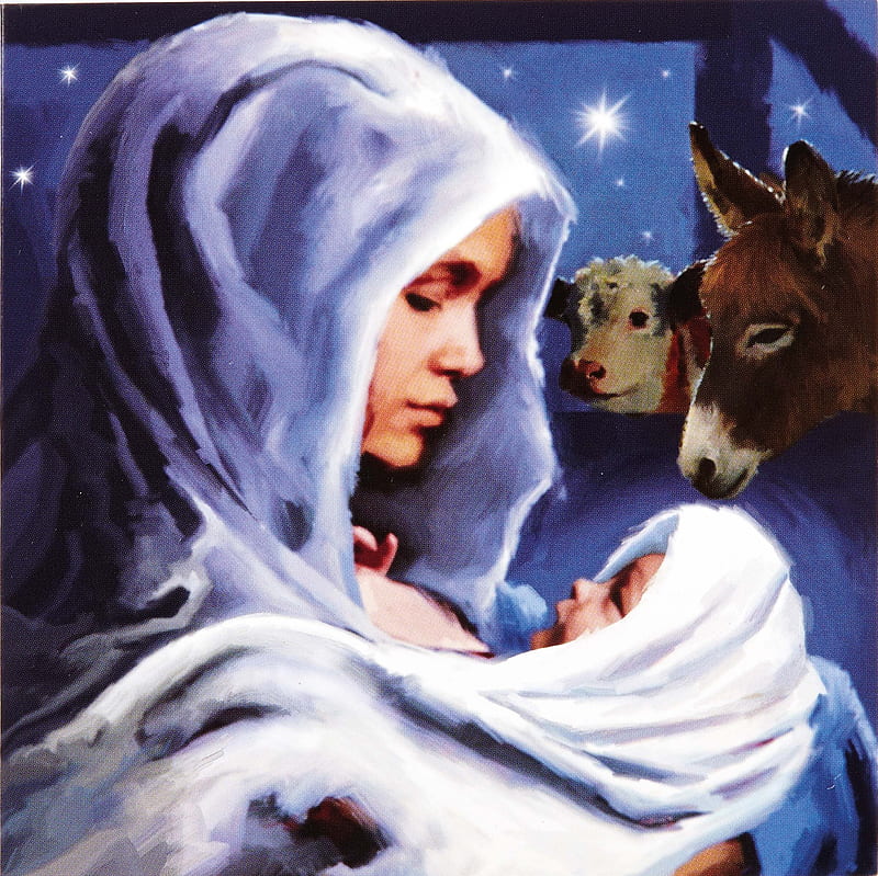 ✿ Christmas Miracle ✿, motherhood, jesus, moments, christmas, blessed, stable, mary, baby, HD wallpaper