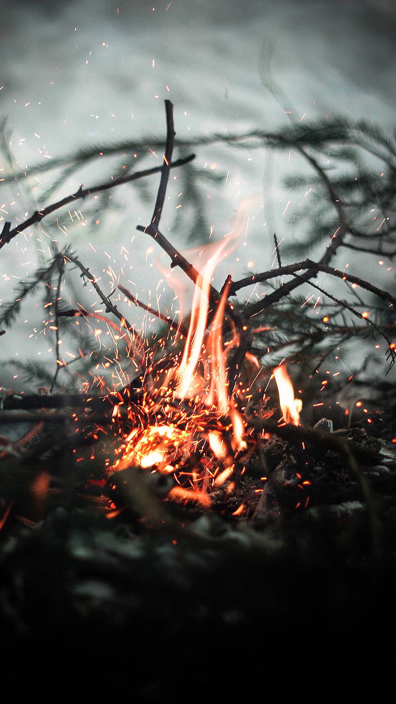 Fire, camping, nature, wood, HD phone wallpaper