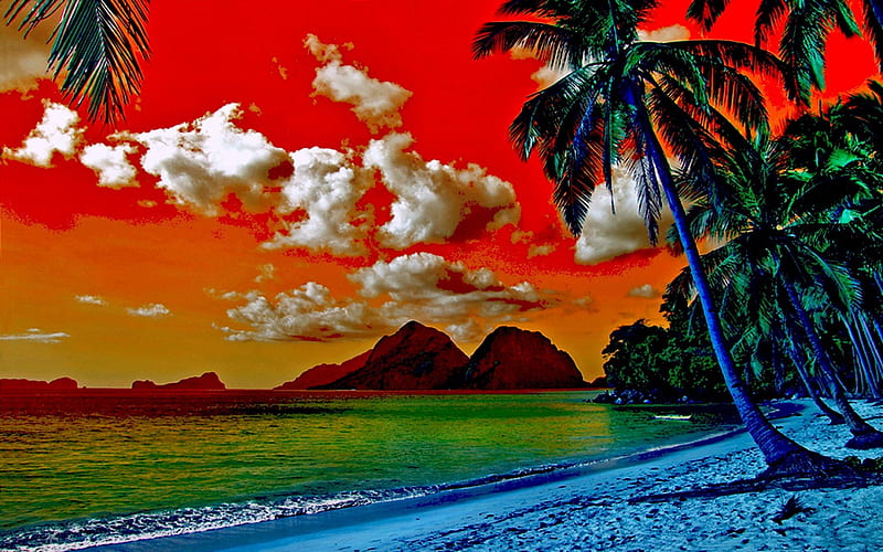 TROPICS PARADISE, beach, paradise, nature, hop, tropics, HD wallpaper