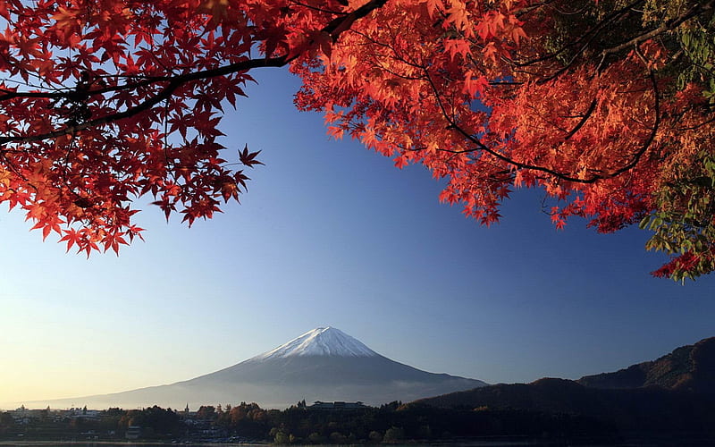 Autumn mount fuji-Japan Landscape, HD wallpaper