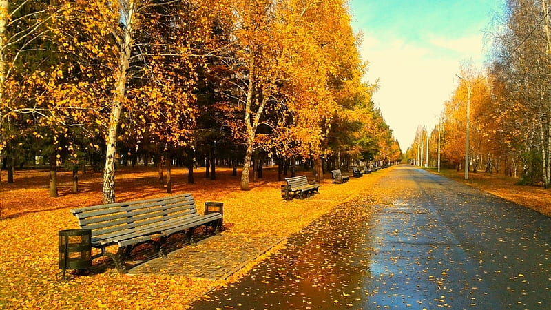 Sunny Autumn Day, Park, Leaves, Bench, Autumn, HD wallpaper | Peakpx